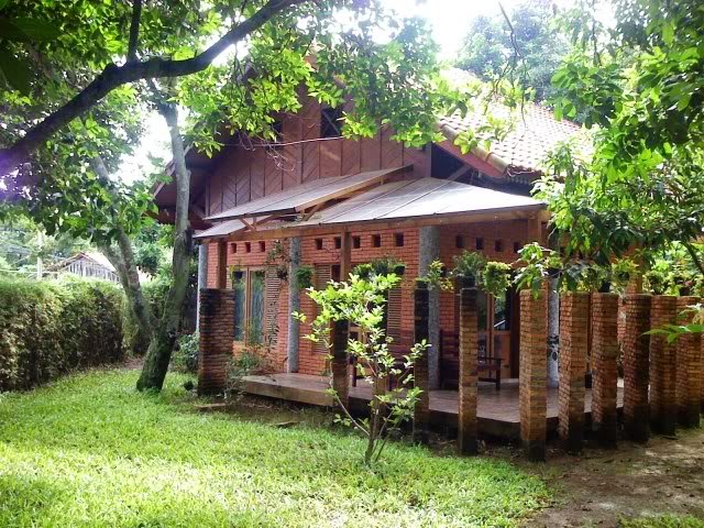 Tukang Taman Kalimantan Tips Menata Rumah Asri Minimalis Agar tetap Terlihat Indah