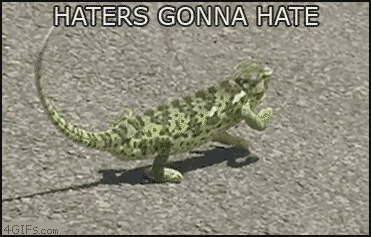 funny-animal-gifs-004-10-haters-gonna-hate.gif
