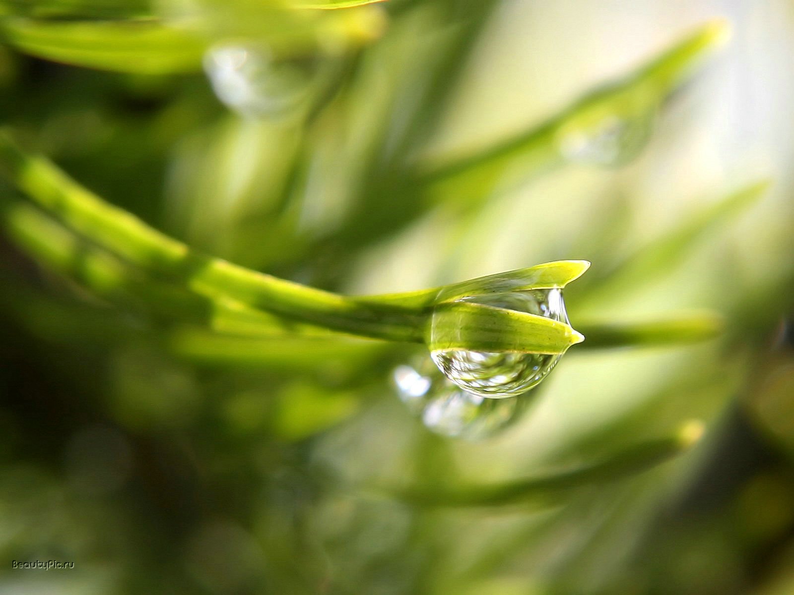 Water Slow Motion Wallpaper Water Slow Motion Wallpaper