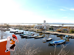 L'albufera a la vista.