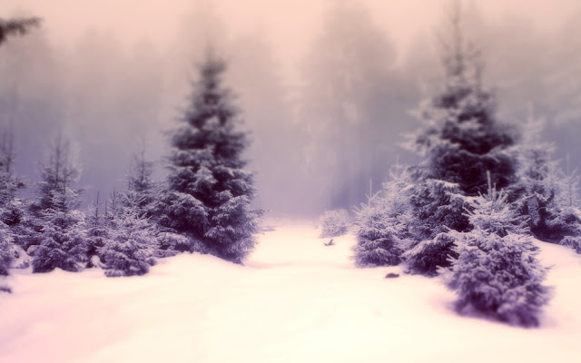 Beautiful Winter Wallpapers