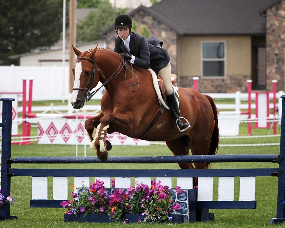 Enjoy the Ride Dover Saddlery Photo Contest