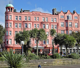 Carmen Bauer Baume Irlands Palmen