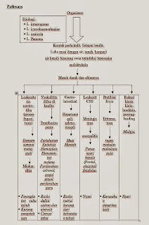 Pathway Leptospirosis