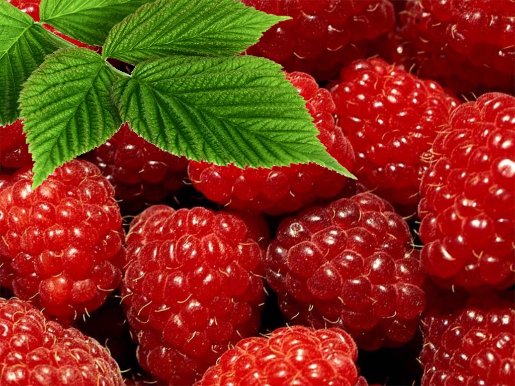 ALIMENT FRAMBOISE