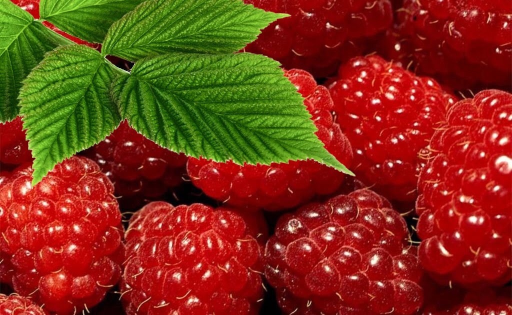 ALIMENT FRAMBOISE