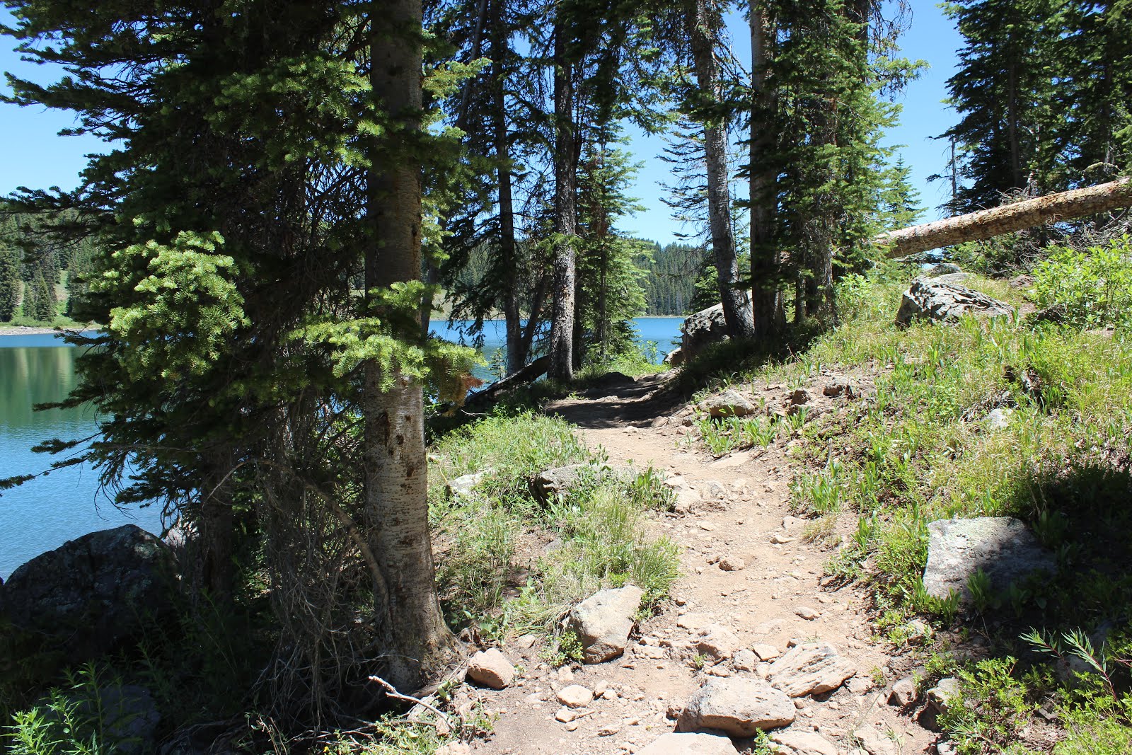 Ward Lake Loop
