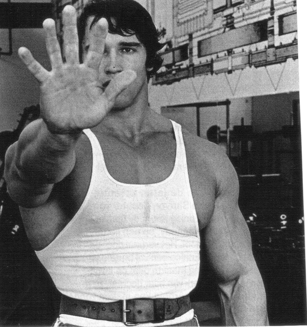The Wallpapers: Arnold Schwarzenegger