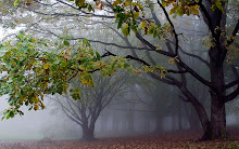 Nacionalni park Fruška Gora