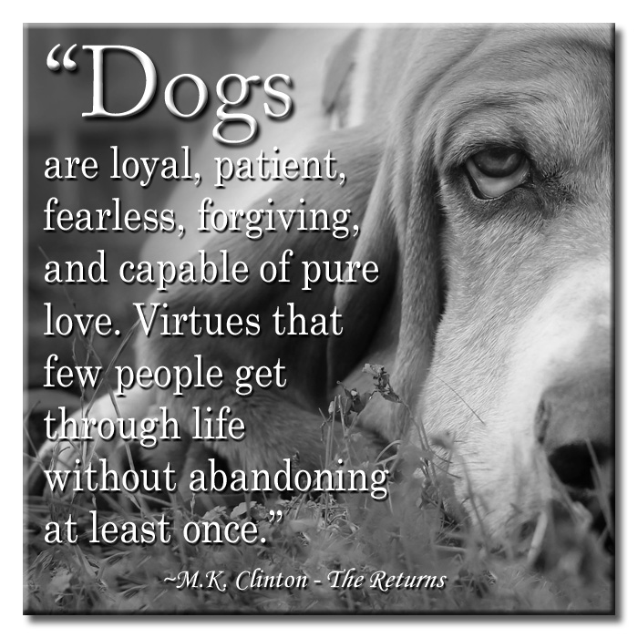Dog Loyalty Vs Cat Loyalty Dog Loyalty Vs Cat Loyalty