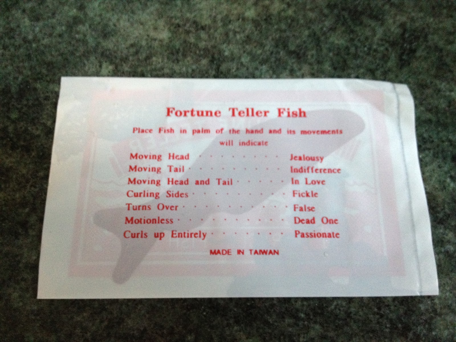 Mystery Playground Fortune Teller Fish