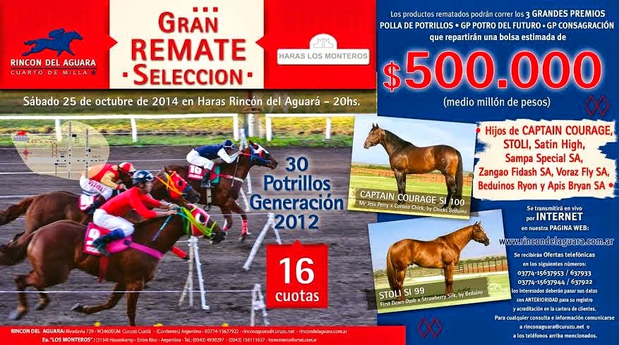 http://turfdelapatagonia.blogspot.com.ar/2014/09/2510-gran-remate-seleccion-haras-rincon.html