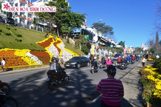 [Image: Dep-doc-va-la-voi-Festival-hoa-Da-Lat-8.JPG]