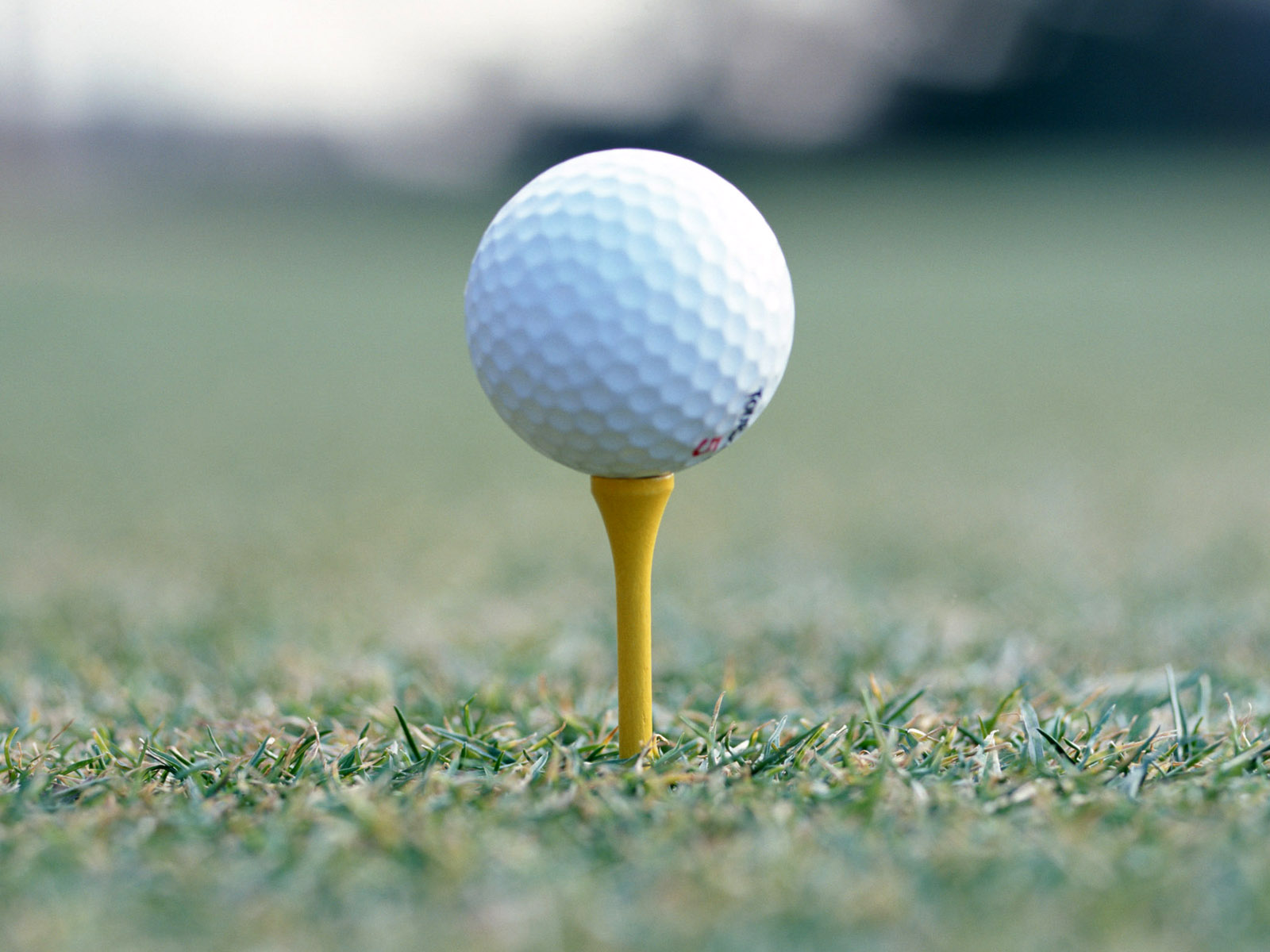 Sports and Spirituality Power Can Be Held in...the Golf Ball?