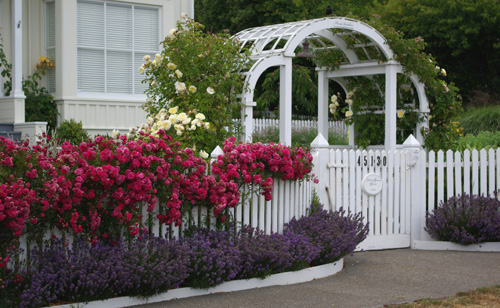 one half world: Front yard plans