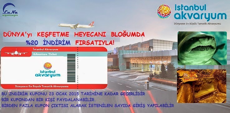 Alev Geziyor Istanbul Akvaryum Gezisi