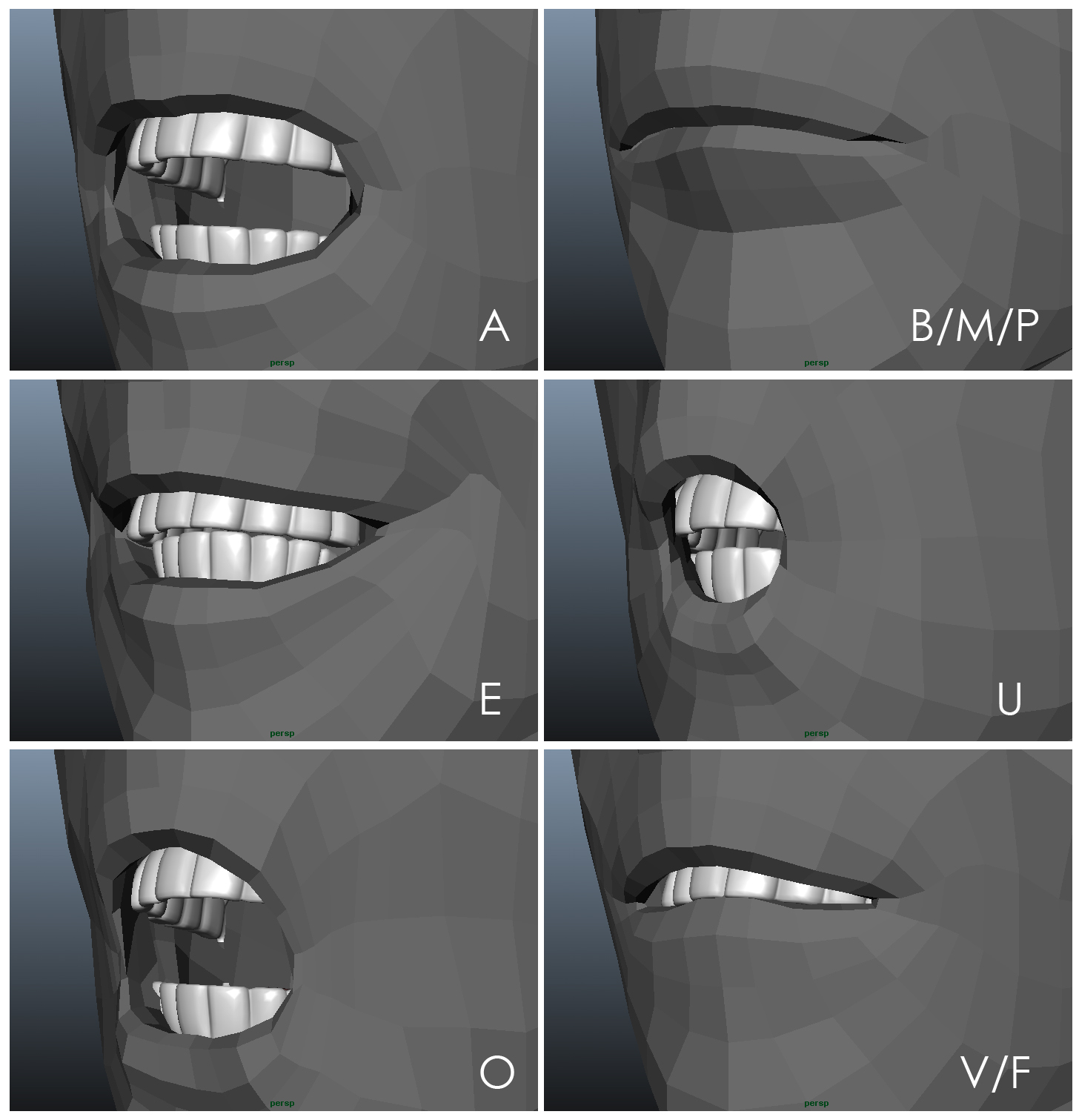 phoneme shapes