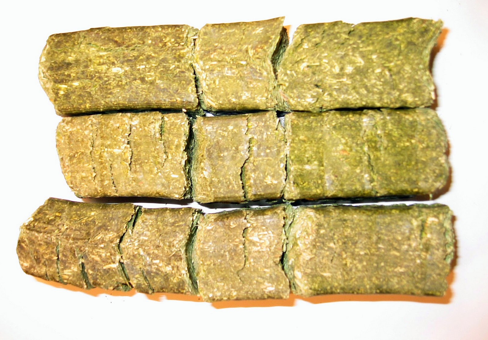 alfalfa-pellets-bearded-dragon10.jpg alfalfa-pellets-bearded-dragon10.jpg