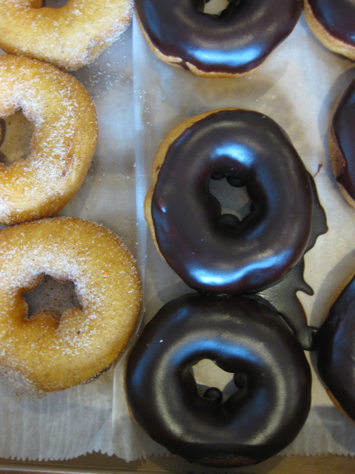 The Blueberry Files BBF Travels Duck Donuts, Outer Banks