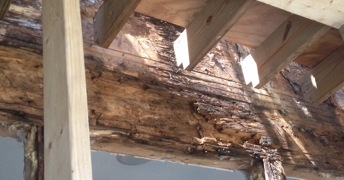 The Paint Bucket Wood Rot What Every Homeowner Should Know