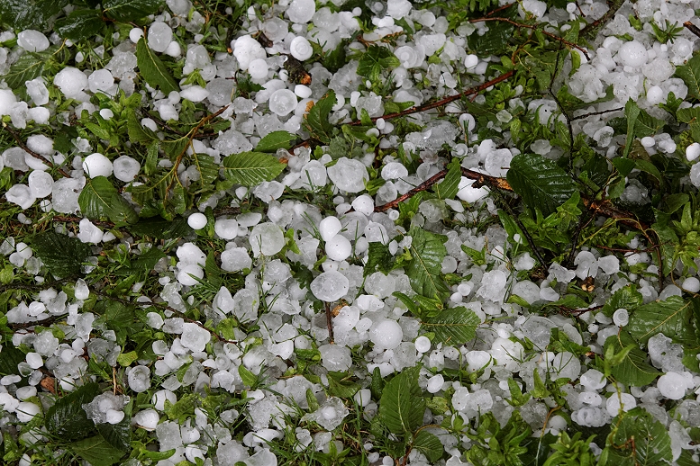 Experten Aus China Reparieren Garten In Bochum Lokalzeit Ruhr
