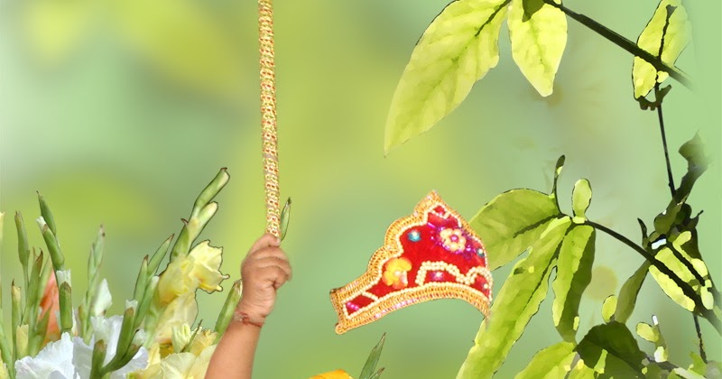 Cute Krishna baby studio backgrounds psd for Photoshop  Studio backgrounds  Studio background images Best background images