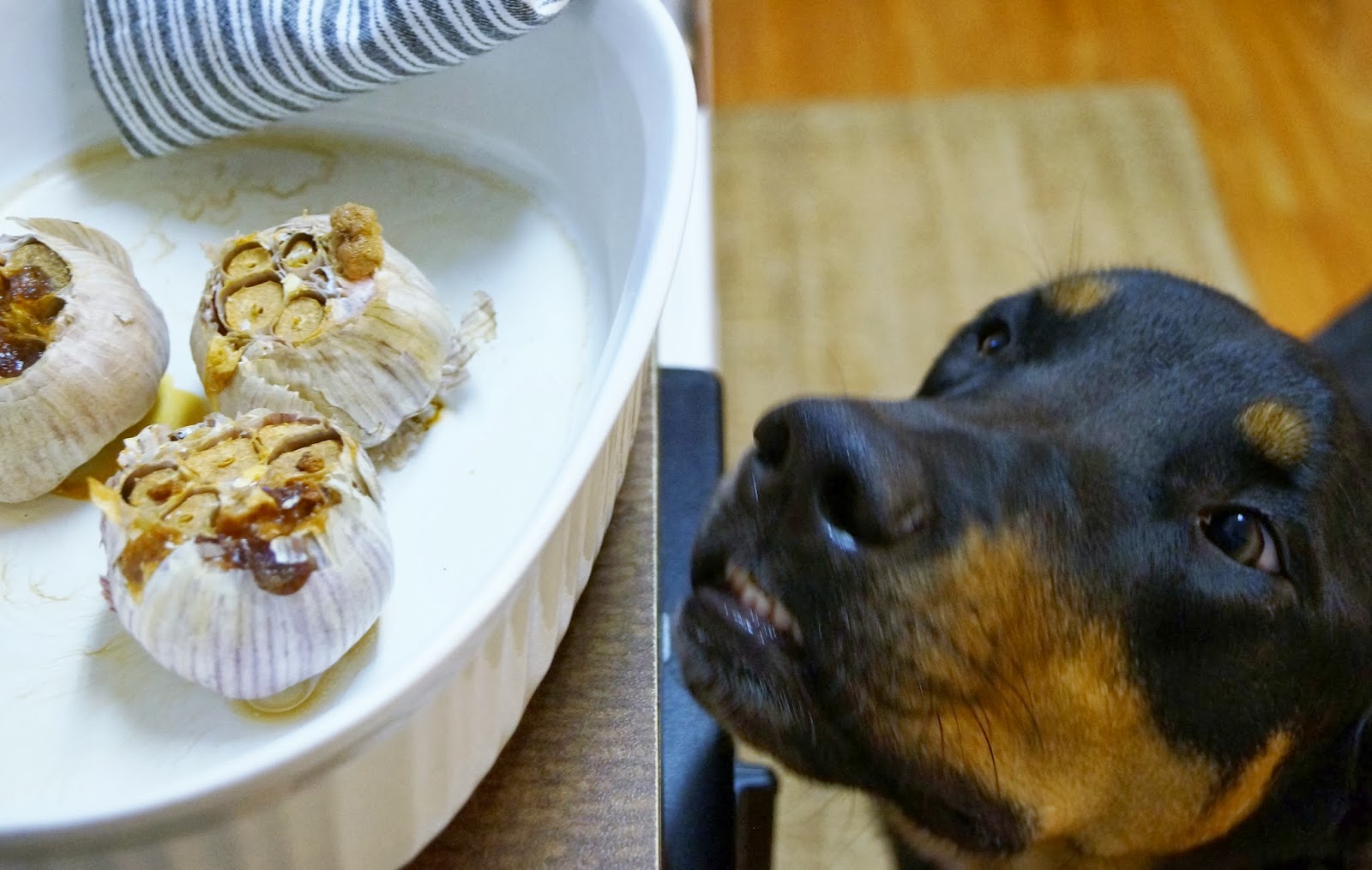 Don't Disturb This Groove RoastedGarlic Cheddar Biscuits