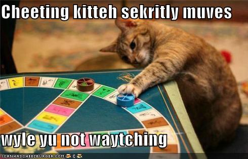 Find the cat game cheats age of empires 2 Find the cat game cheats age of empires 2