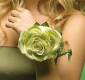 Prom & Homecoming Flowers 2: Corsages