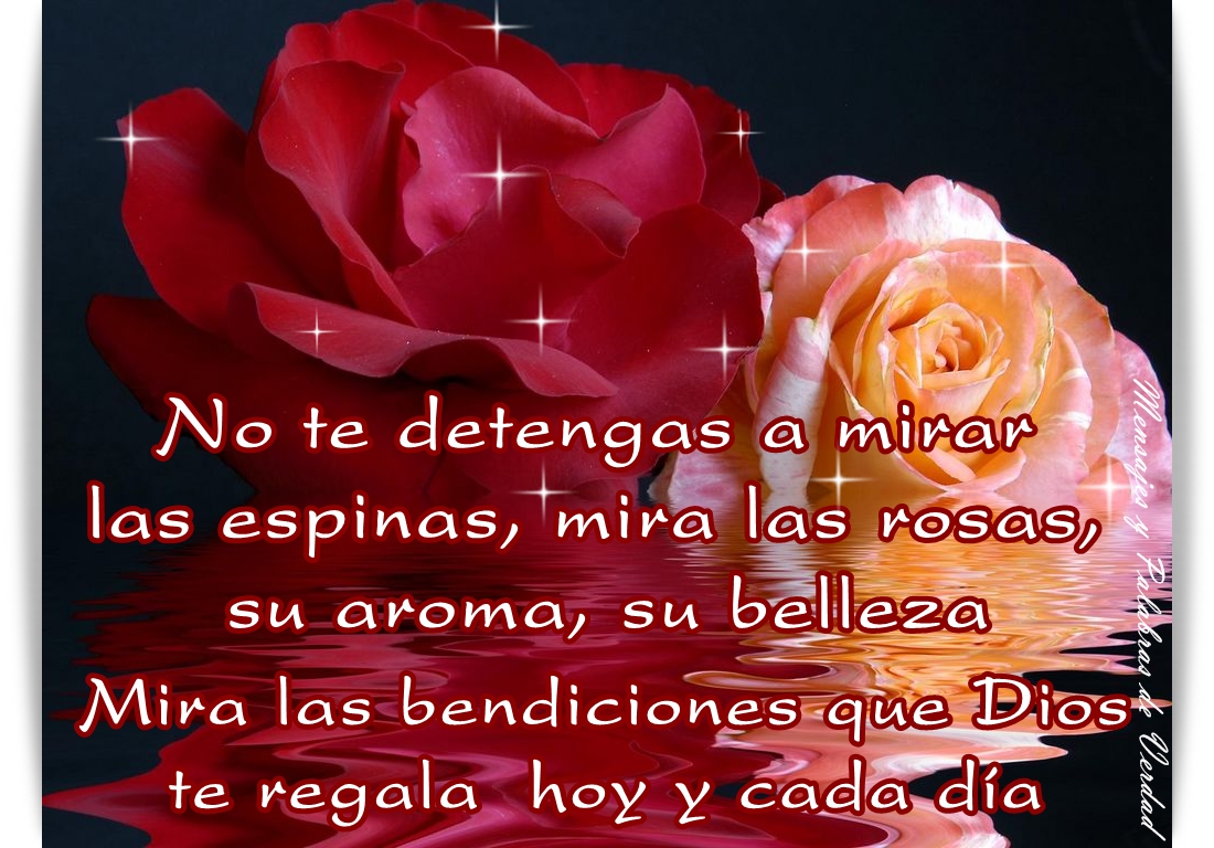 Ver las imágenes de origen