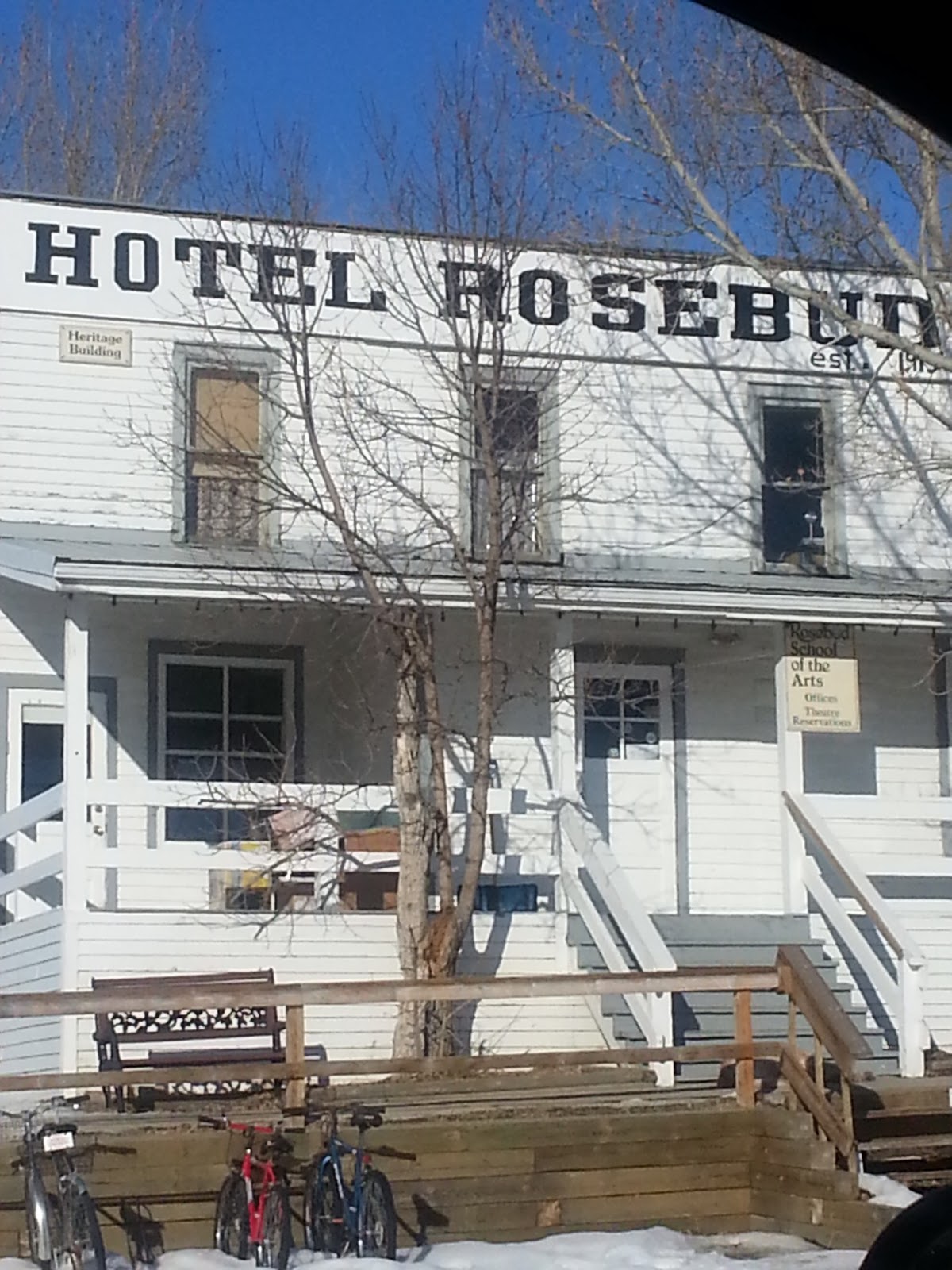 Pat's Ramblings A Little Alberta Rosebud