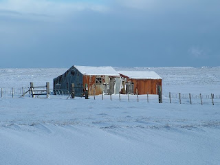 De viajeros por las Islas Malvinas o Falkland Islands 6