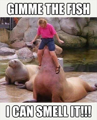 funny images funny images