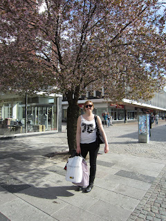 Adventures of Allie: Wasting Away Again in Växjö, Sweden...