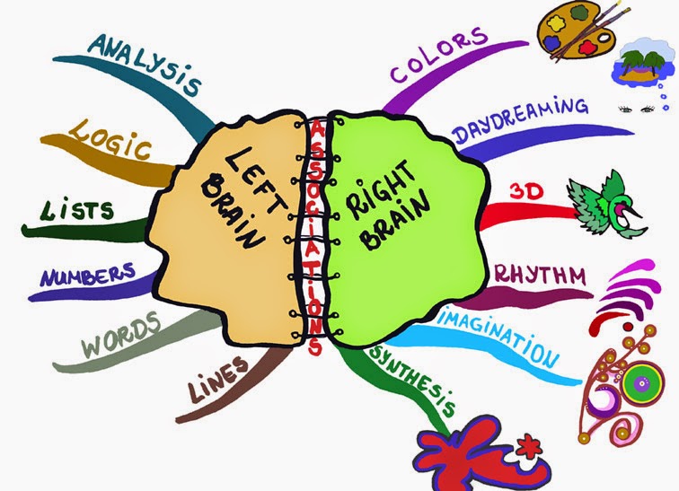 #1 Brain Education: Left Brain Vs. Right Brain Teaching Techniques