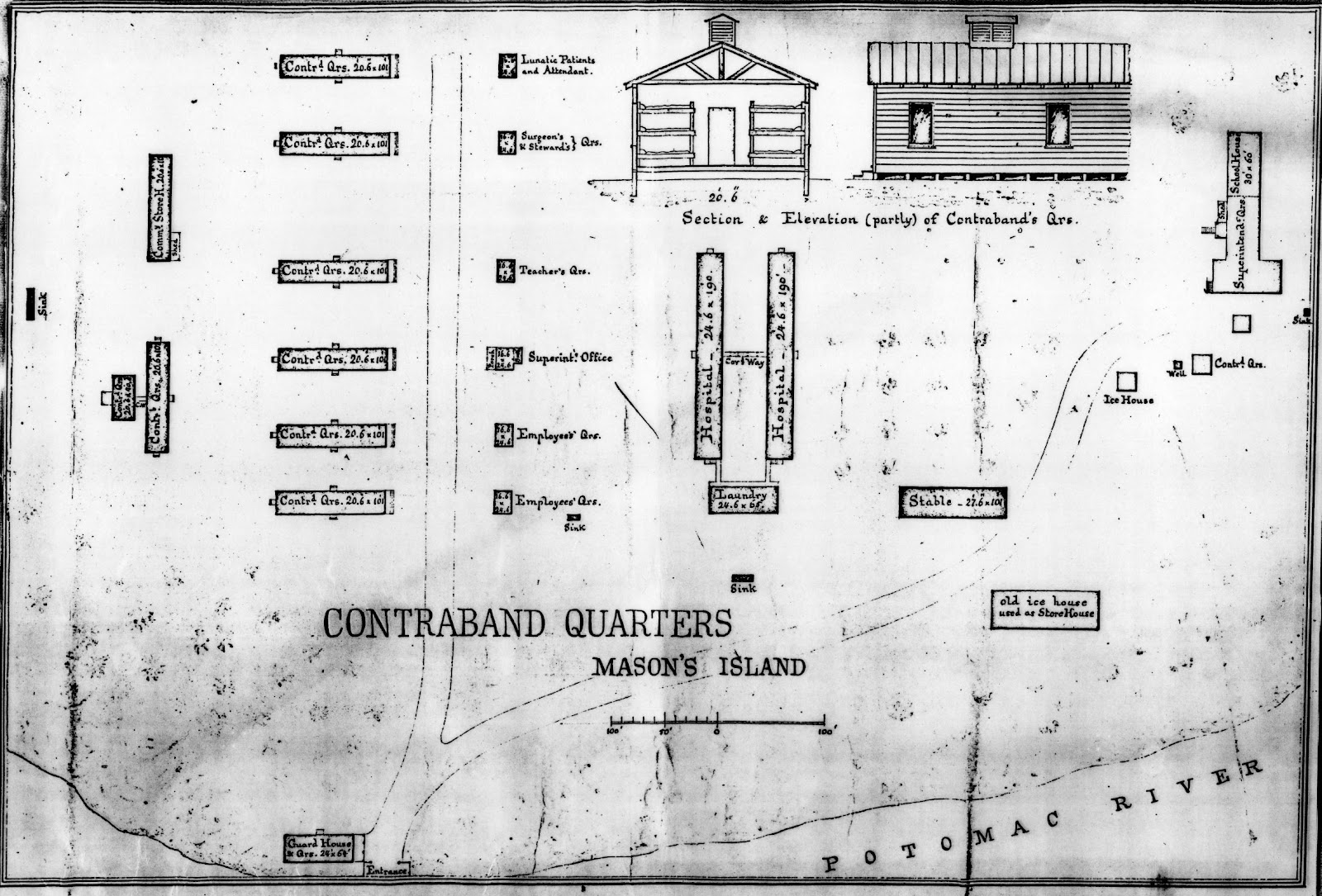 Architectural Drawing Trees