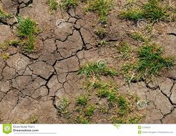 La erosión de los suelos