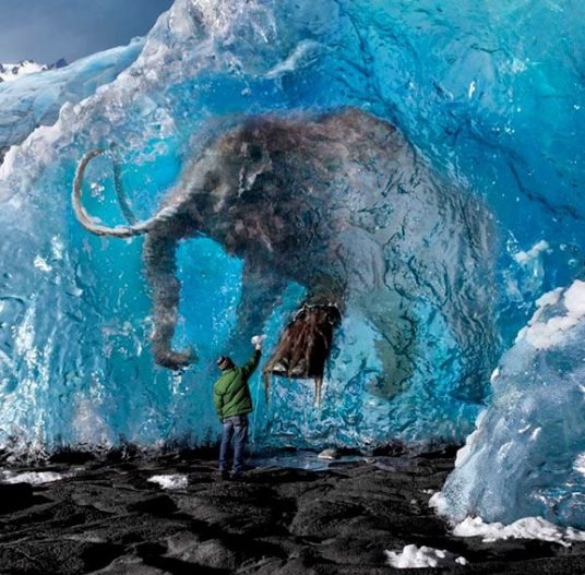 mamut%2Bcongelado.jpg