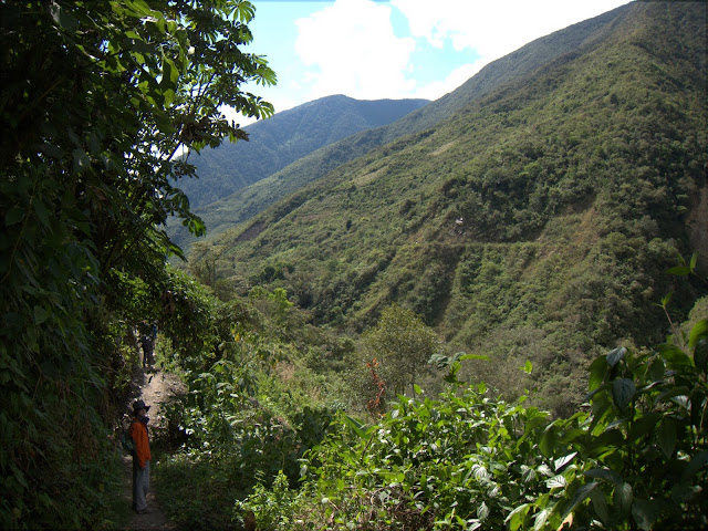7, 8 y 9 de agosto de 2011: El Camino Inca. - Sur de Perú a nuestro aire (8)