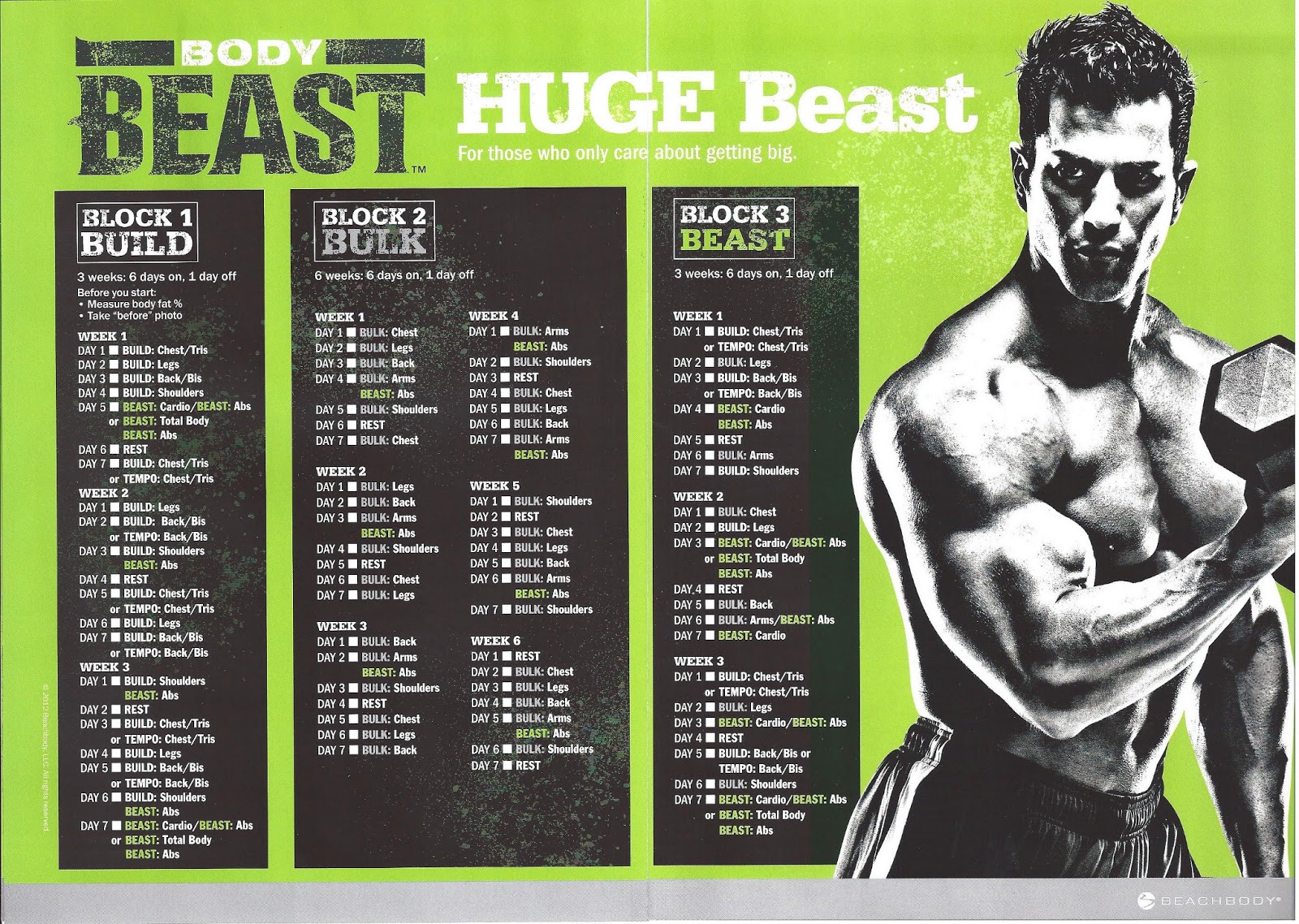 6 Day Body Beast Workout Chest And Tris for Weight Loss