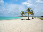 So, on the day I turn 47, we'll be sitting on a dreamlike beach in Cozumel, . (three palms at cozumel island mexico)