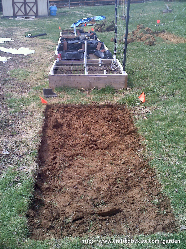 SleuthSayers The Asparagus Bed