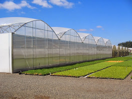 Greenhouse Design, Manufacturing and Construction