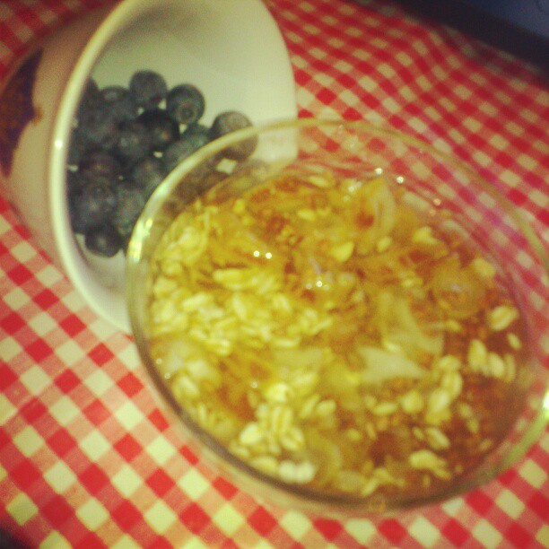 Blumen Im Nirgendwo 03 01 2013 04 01 2013