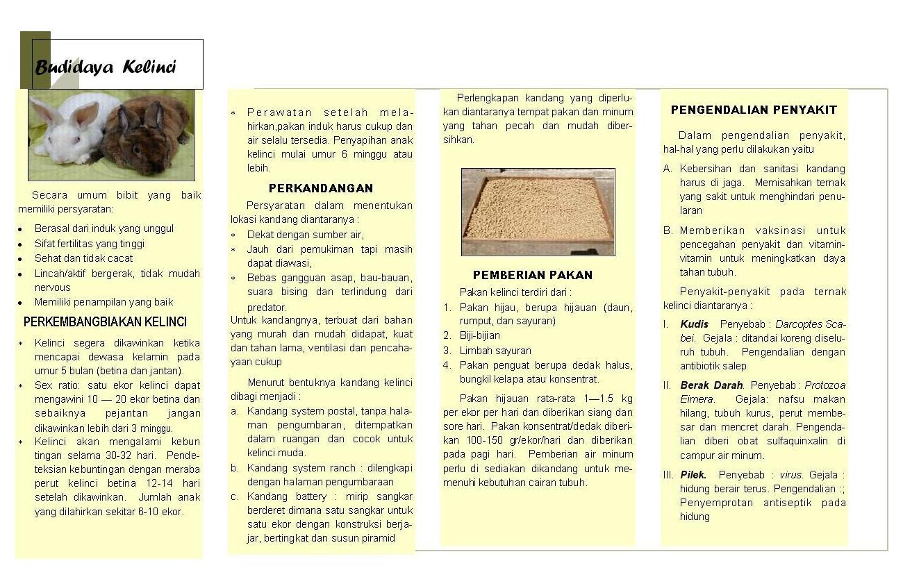 Leaflet Budidaya Kelinci DIORAMA PENYULUHAN DAN