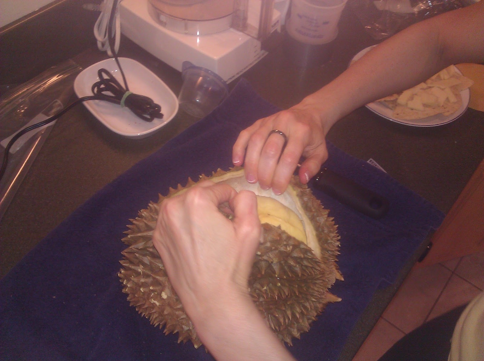 Traci Fruit Mandolin Slicer Injury WARNING GRAPHIC!!