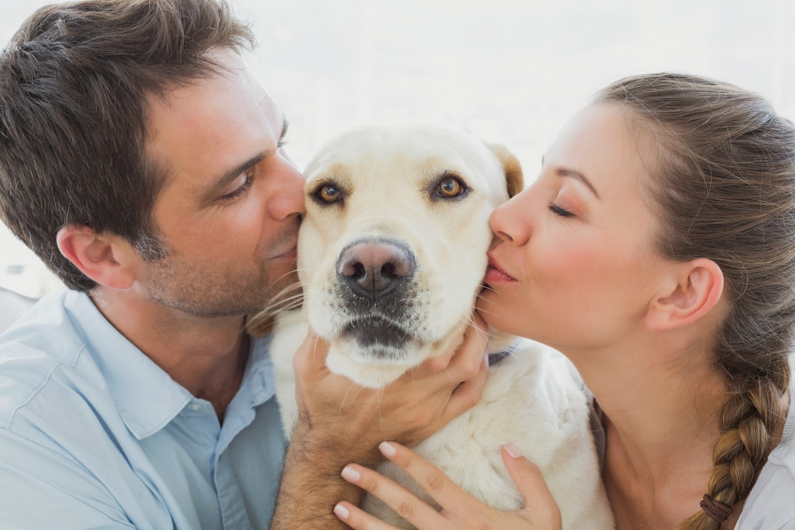 Dating Sites For Dog Lovers: Getting started on Free Dog Lovers Dating