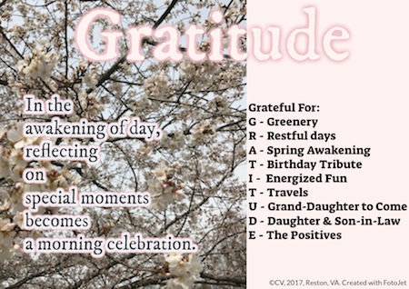 beyond literacylink march musings 27 gratitude