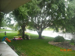 The front yard
