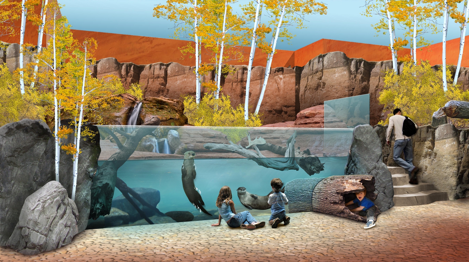 Behind the Glass Designing a World Class Aquarium